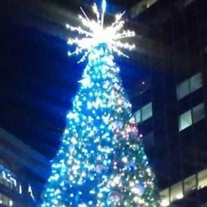 Meet your Posher, Delicioso