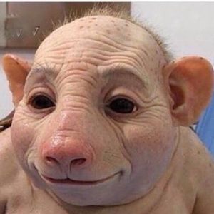 Meet your Posher, Maci