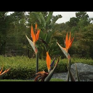 Meet your Posher, Patricia