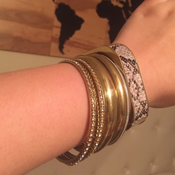 Reptile bracelet and bangles