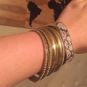 Reptile bracelet and bangles