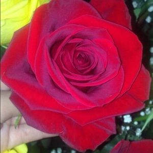 Meet your Posher, Jenny