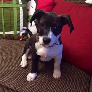 Meet your Posher, Nancy