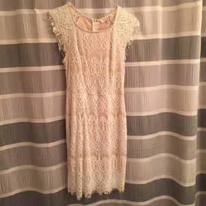 Lace fitted dress