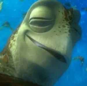 Meet your Posher, Adrian