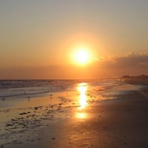 Meet your Posher, Annette