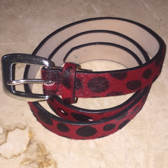 Express Belt - Picture 1 of 3