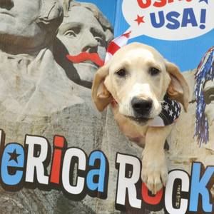 Meet your Posher, Sharon