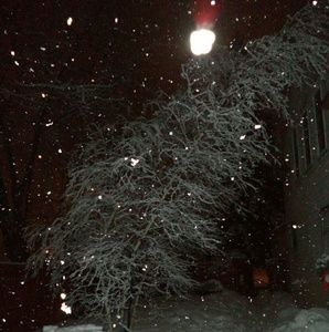 Meet your Posher, Mia