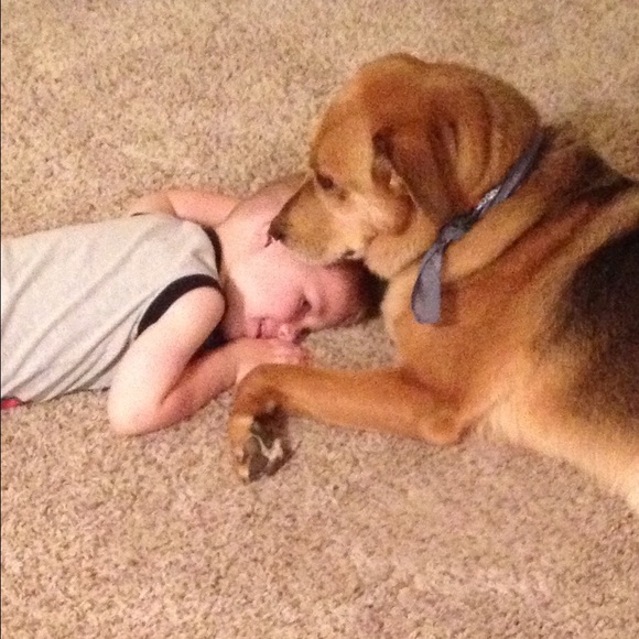 My baby luvs..... - Picture 2 of 4