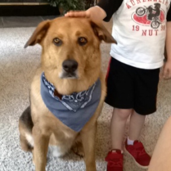 My baby luvs..... - Picture 3 of 4