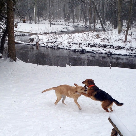 My baby luvs..... - Picture 4 of 4