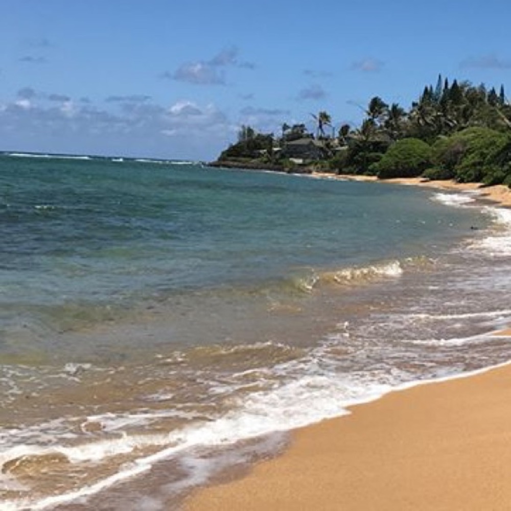 Meet your Posher, Clara