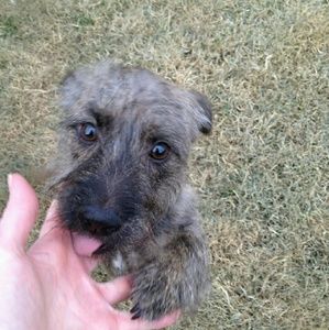 Meet your Posher, Karla