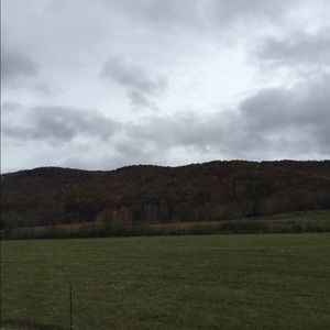 Meet your Posher, Brook