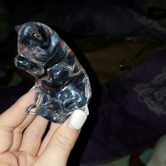 Glass cat💜
