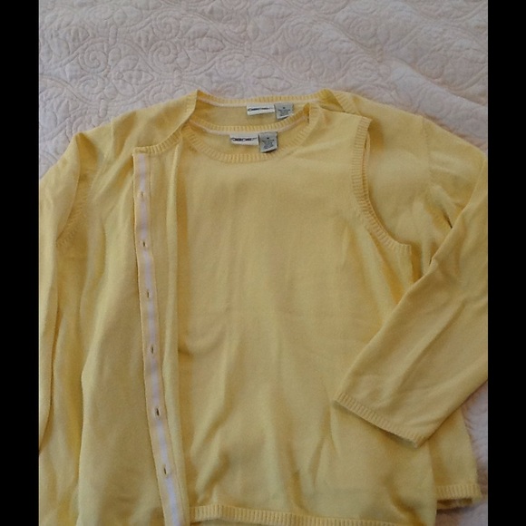 Cute sweater twin set.