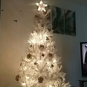 Meet your Posher, Ciara