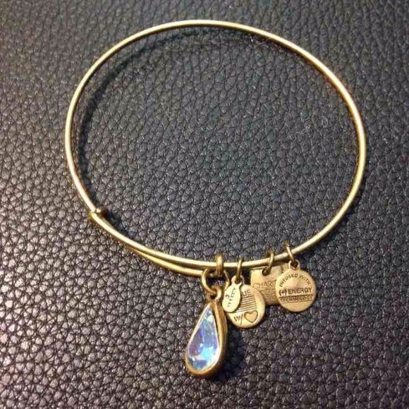 Alex and Ani Love Drop