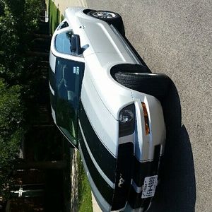 Meet your Posher, Gus