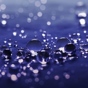 Meet your Posher, Sylvia