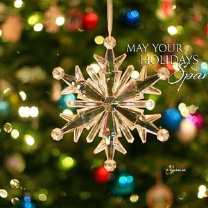 Meet your Posher, Annalisa