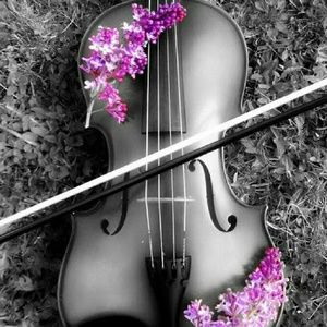 Meet your Posher, Kyliw