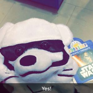 Meet your Posher, Nataly