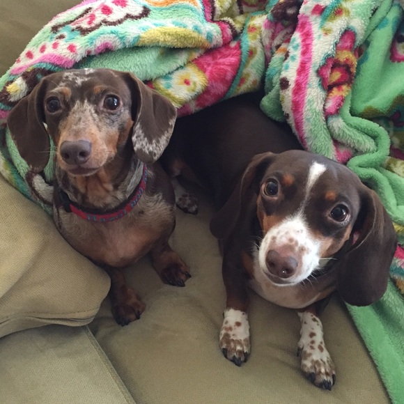 Meet your Posher, Melissa - Picture 2 of 4