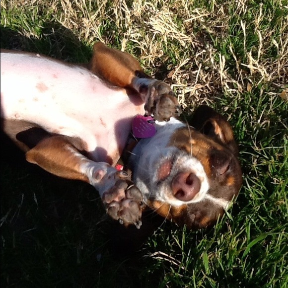 Meet your Posher, Melissa - Picture 4 of 4