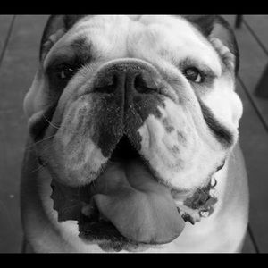 Meet your Posher, Wendy