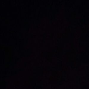 Meet your Posher, Cat