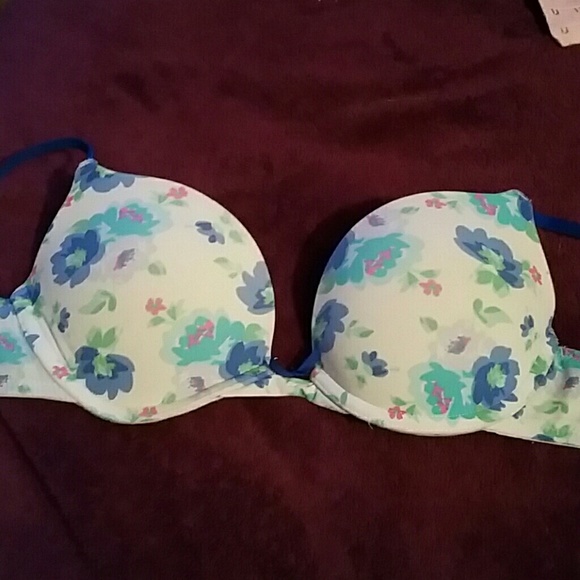 Gilly hicks bra