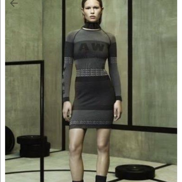 Alexander wang for hm dressπππ - Picture 2 of 2