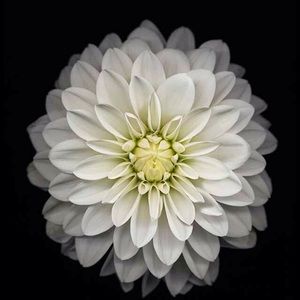 Meet your Posher, Melany