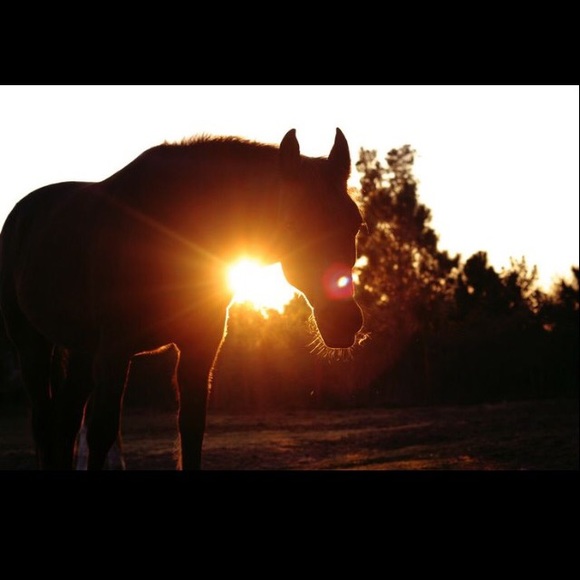 Meet your posher, Karly - Picture 2 of 4