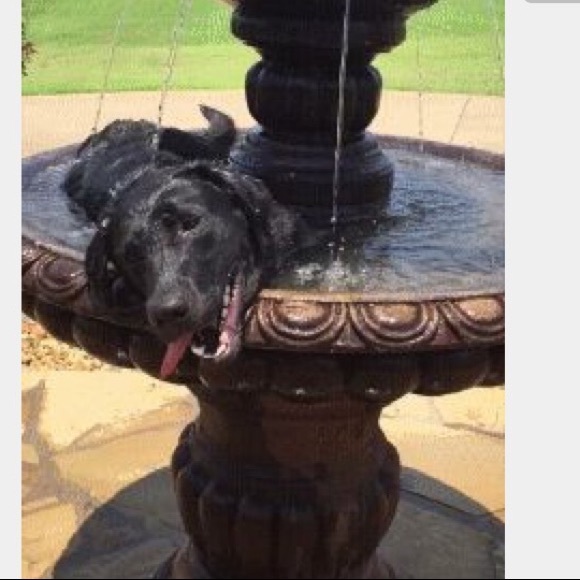 Meet your posher, Karly - Picture 3 of 4