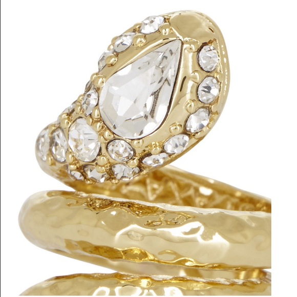 BCBG Max Azria Hammered Snake Ring - Picture 3 of 4