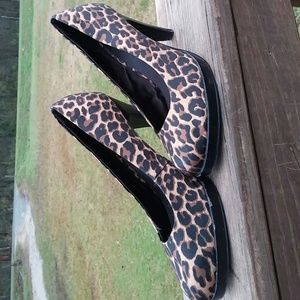 Cheetah pumps