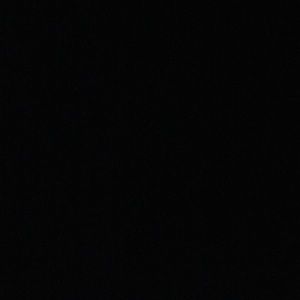 Meet your Posher, Phyllis