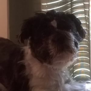 Meet your Posher, Lori