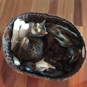 Meet your Posher, Lex