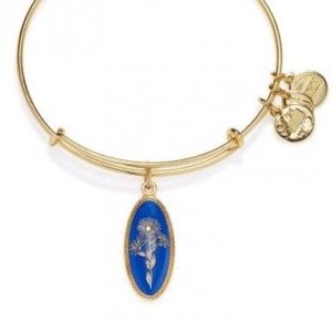 New Alex and Ani bracelet.