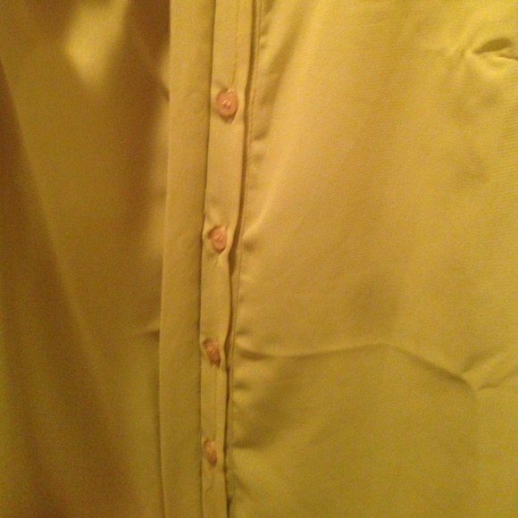 Sleeveless Chiffon Button Down Tank - Picture 4 of 4