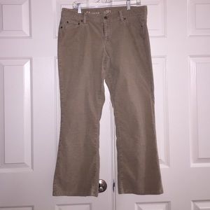 Ann Taylor Corduroy Pants