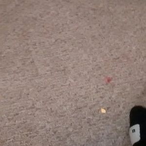 Meet your Posher, Ebonie