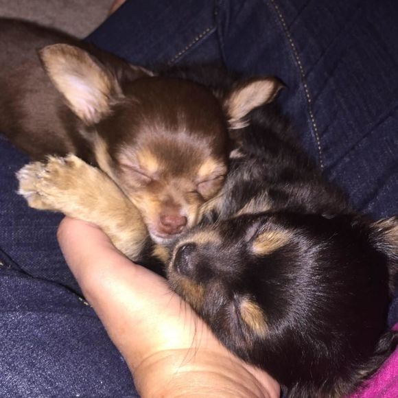 Meet your Posher, Joni - Picture 1 of 1