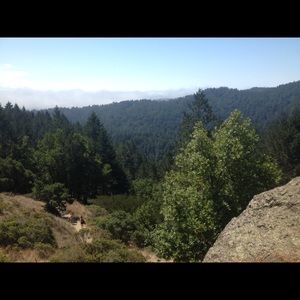 Meet your Posher, Alan