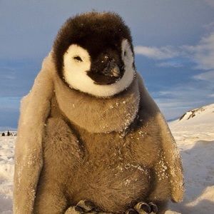 Meet your Posher, Kaley