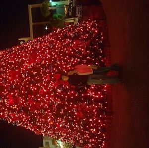 Meet your Posher, Autumn